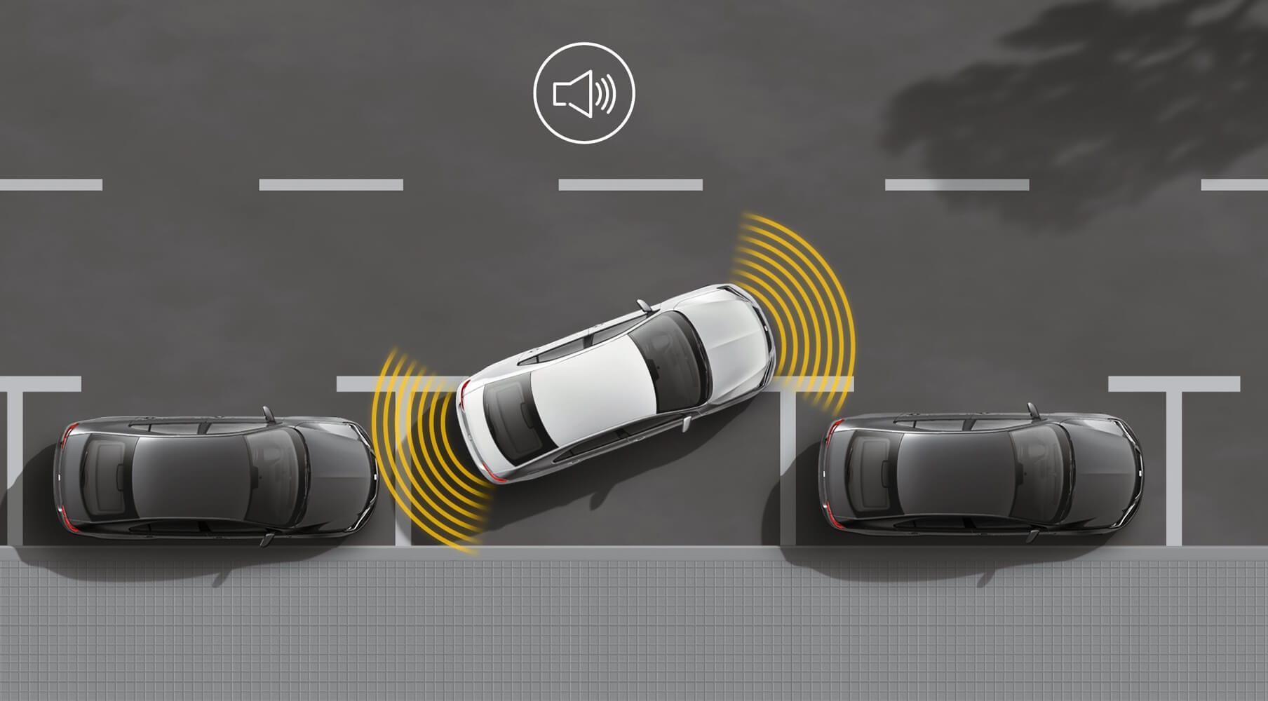 SEAT Front and Rear Parking Sensor