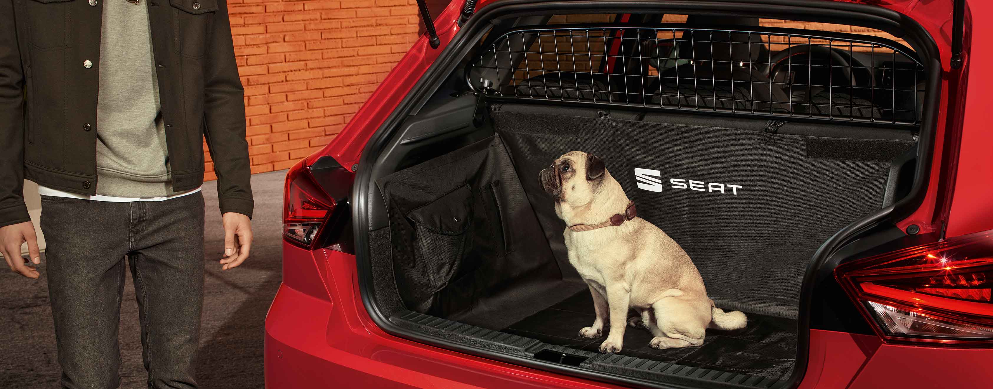 Dog sitting on SEAT Ibiza's boot with separation grille
